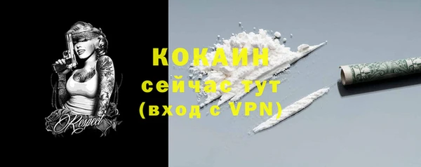 PSILOCYBIN Беломорск
