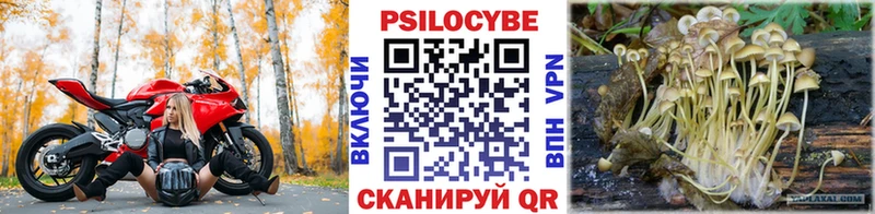 Псилоцибиновые грибы мицелий  закладки  Киржач 